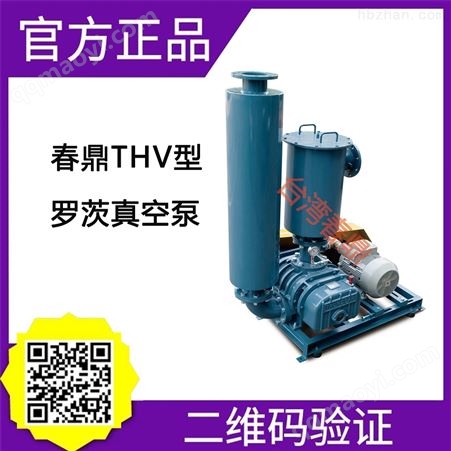THV-150罗茨真空泵