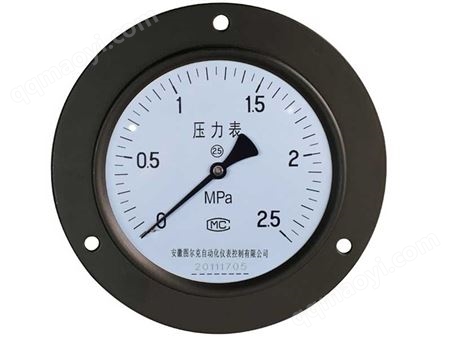 Y-60ZT轴向带边压力表